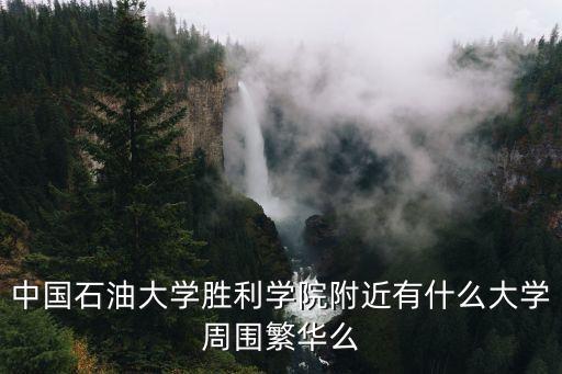 中国石油大学胜利学院附近有什么大学周围繁华么