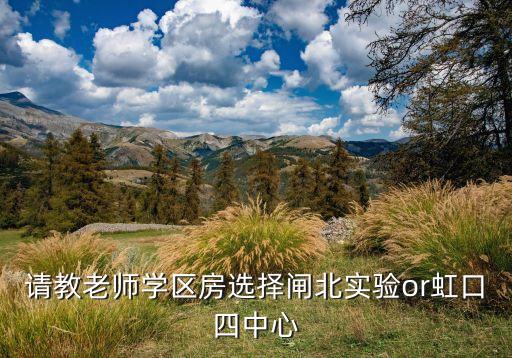 上海人才引进学区房有哪些，关注明珠小学C区 人才引进学区房能进的可能性有多大