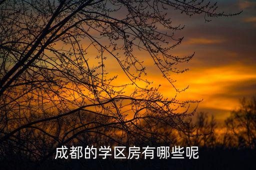 成都的学区房有哪些呢