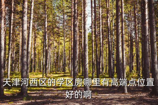 天津河西区的学区房哪里有高端点位置好的啊