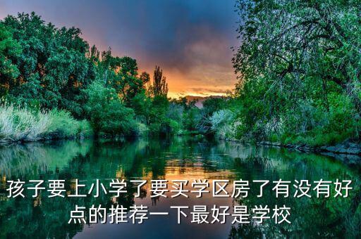 孩子要上小学了要买学区房了有没有好点的推荐一下最好是学校