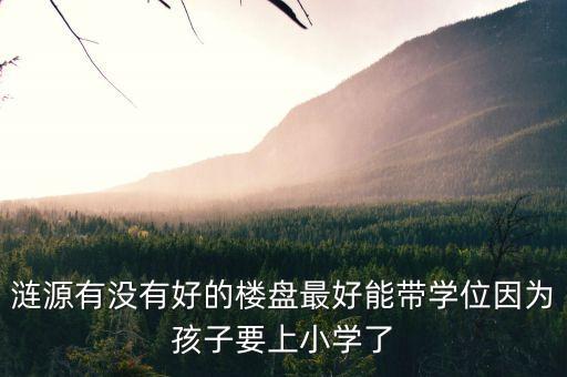 涟源有没有好的楼盘最好能带学位因为孩子要上小学了