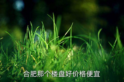 合肥那个楼盘好价格便宜