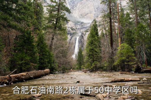合肥石油南路2栋属于50中学区吗