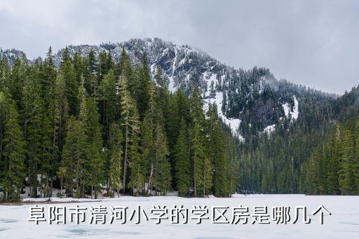 阜阳市清河小学的学区房是哪几个