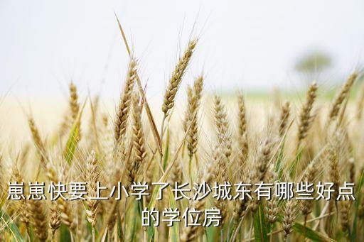 崽崽快要上小学了长沙城东有哪些好点的学位房