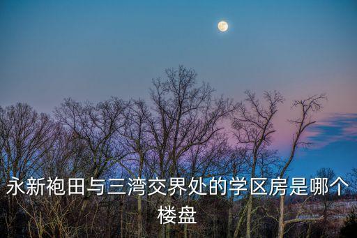 慈溪学区房哪个小区新，永新袍田与三湾交界处的学区房是哪个楼盘