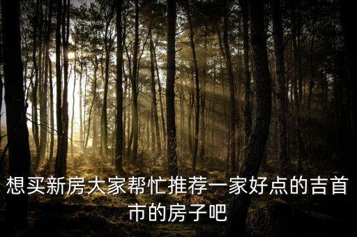 想买新房大家帮忙推荐一家好点的吉首市的房子吧