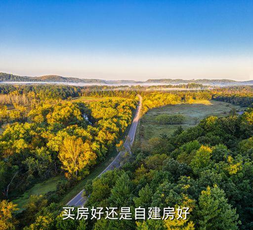 买房好还是自建房好