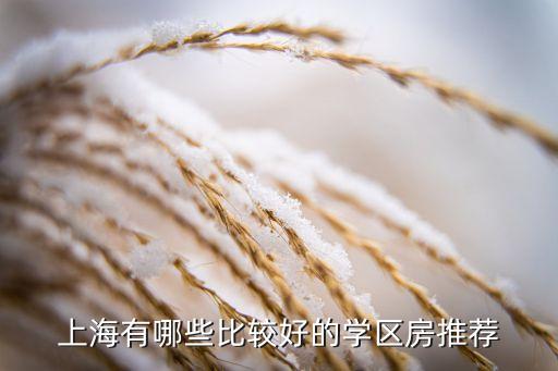 上海有哪些比较好的学区房推荐