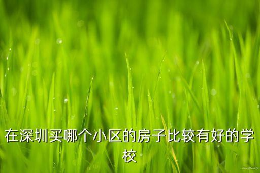 在深圳买哪个小区的房子比较有好的学校