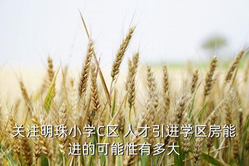 关注明珠小学C区 人才引进学区房能进的可能性有多大