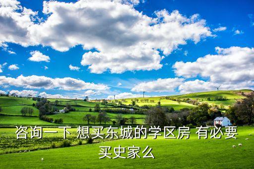 咨询一下 想买东城的学区房 有必要买史家么