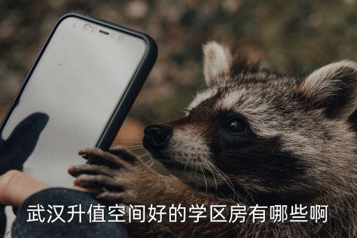 武汉升值空间好的学区房有哪些啊