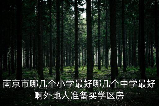 南京市哪几个小学最好哪几个中学最好啊外地人准备买学区房