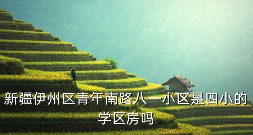 新疆伊州区青年南路八一小区是四小的学区房吗