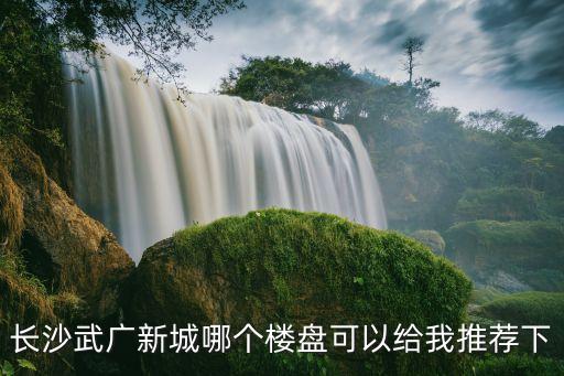 长沙武广新城哪个楼盘可以给我推荐下