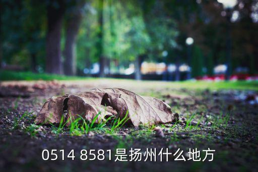 0514 8581是扬州什么地方