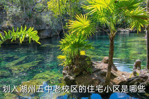 湖州学区房哪个最好，我想在湖州买房在那个区有升直空间江山赋好吗