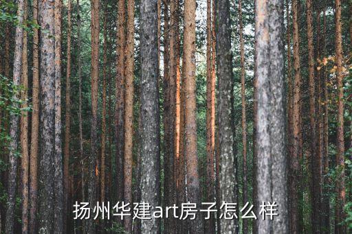 扬州华建art房子怎么样