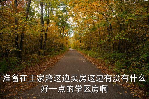 准备在王家湾这边买房这边有没有什么好一点的学区房啊