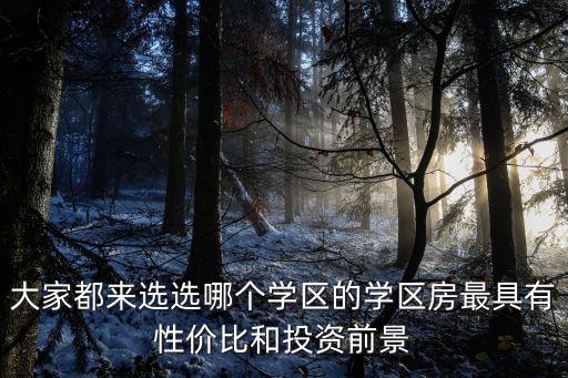 大家都来选选哪个学区的学区房最具有性价比和投资前景