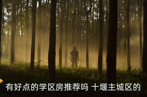 有好点的学区房推荐吗 十堰主城区的