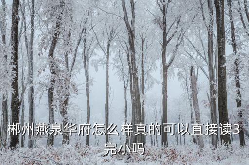 郴州燕泉华府怎么样真的可以直接读3完小吗