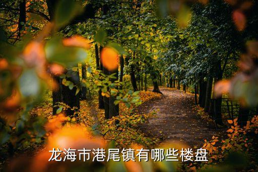 龙海市港尾镇有哪些楼盘