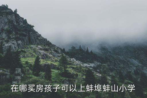 在哪买房孩子可以上蚌埠蚌山小学