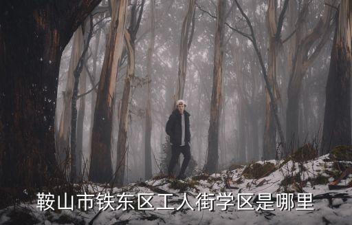 鞍山市铁东区工人街学区是哪里