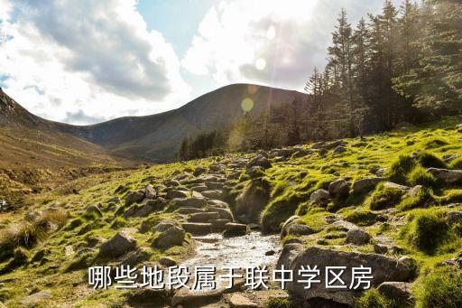 哪些地段属于联中学区房
