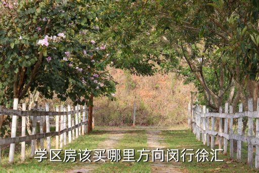 学区房该买哪里方向闵行徐汇