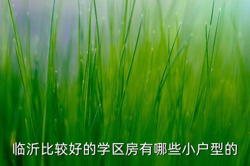 临沂比较好的学区房有哪些小户型的