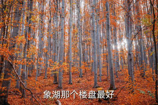 象湖那个楼盘最好