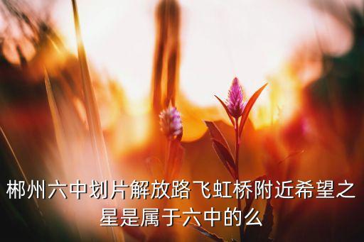 郴州六中划片解放路飞虹桥附近希望之星是属于六中的么