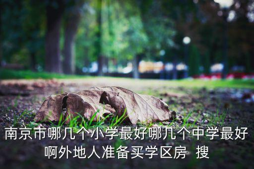 南京市哪几个小学最好哪几个中学最好啊外地人准备买学区房  搜