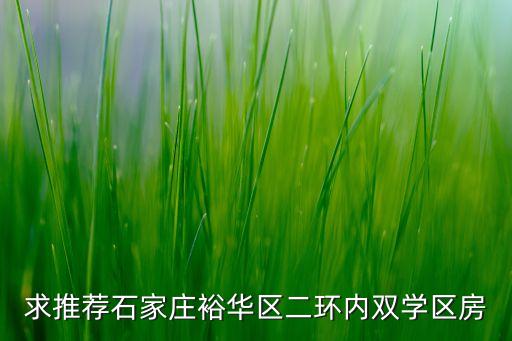 求推荐石家庄裕华区二环内双学区房