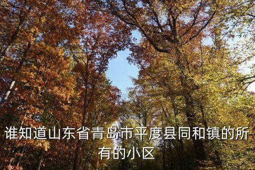 平度新学区房有哪些，谁知道山东省青岛市平度县同和镇的所有的小区