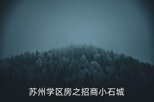 苏州学区房之招商小石城