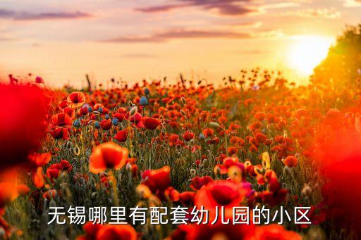 无锡哪里有配套幼儿园的小区