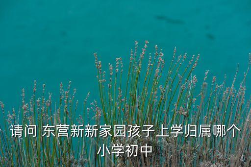 请问 东营新新家园孩子上学归属哪个小学初中