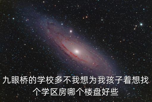 九眼桥的学校多不我想为我孩子着想找个学区房哪个楼盘好些