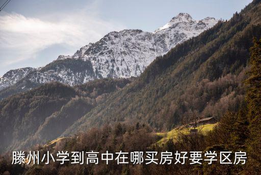 滕州小学到高中在哪买房好要学区房