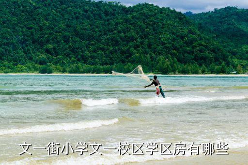 文一街小学文一校区学区房有哪些