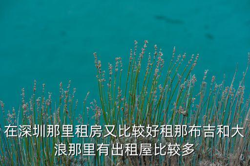 在深圳那里租房又比较好租那布吉和大浪那里有出租屋比较多