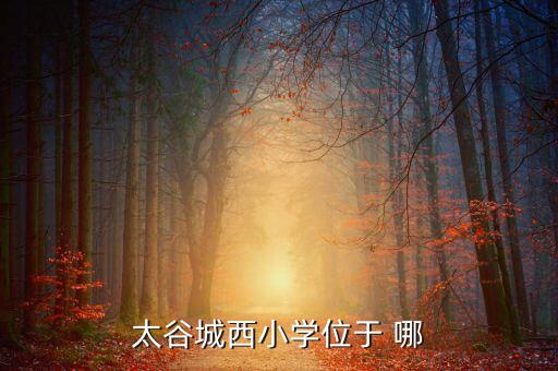 太谷城西小学位于 哪