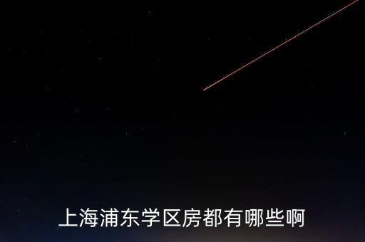 浦南哪个学区房最好，想买上海浦东学区房