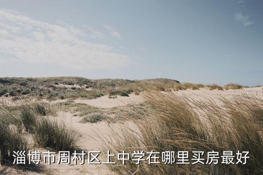 淄博市周村区上中学在哪里买房最好