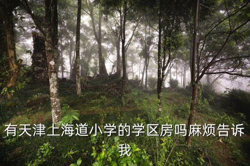 有天津上海道小学的学区房吗麻烦告诉我